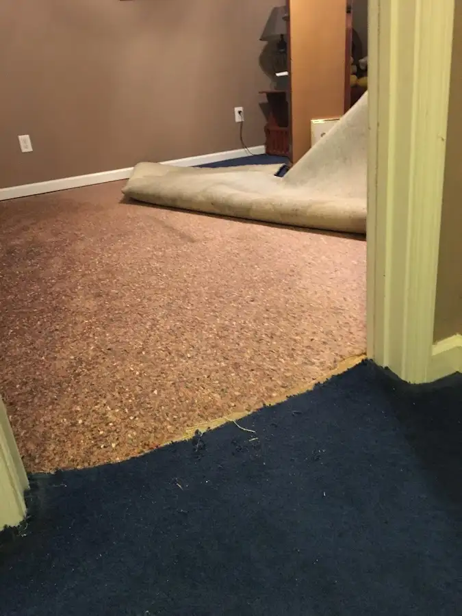 Carpet pad removal revealing water damage during Drying & Dehumidification in North Lynnwood