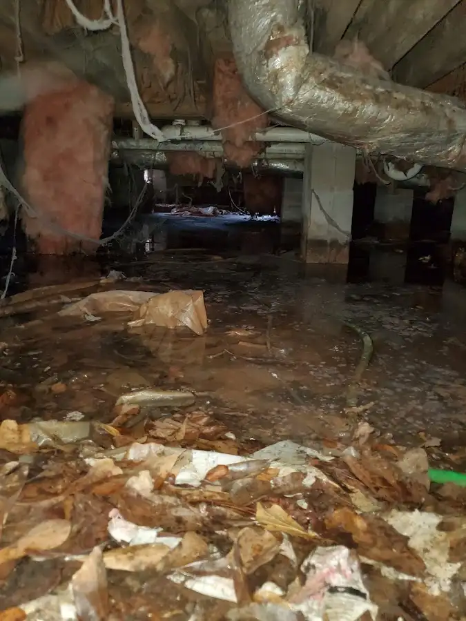 Crawl space flood assessment for Leak Detection & Repair in North Lynnwood