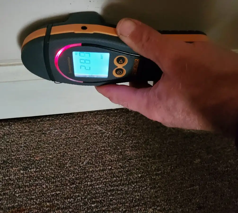 Moisture detection at baseboard during Burst Pipe Cleanup in North Lynnwood