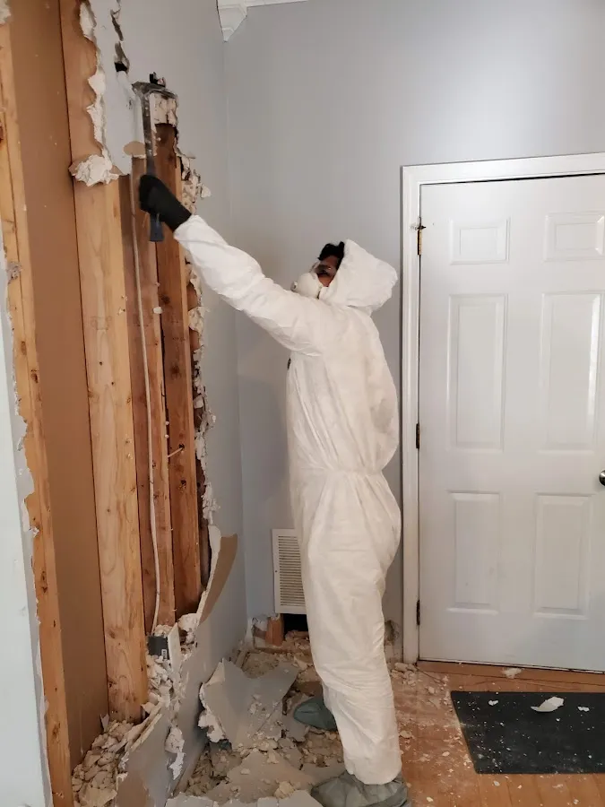 Water Damage Restoration services in North Lynnwood, WA